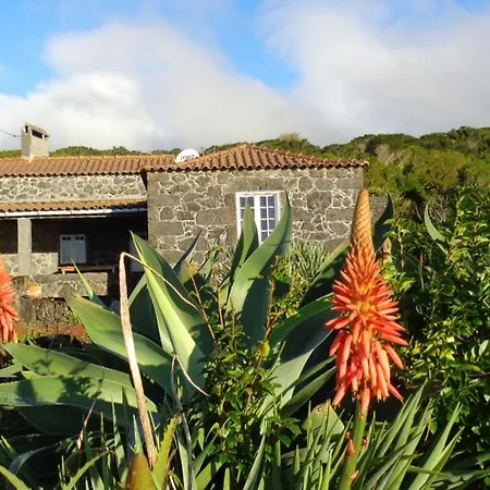 Сasa de vacaciones Casa Do Bernardo *