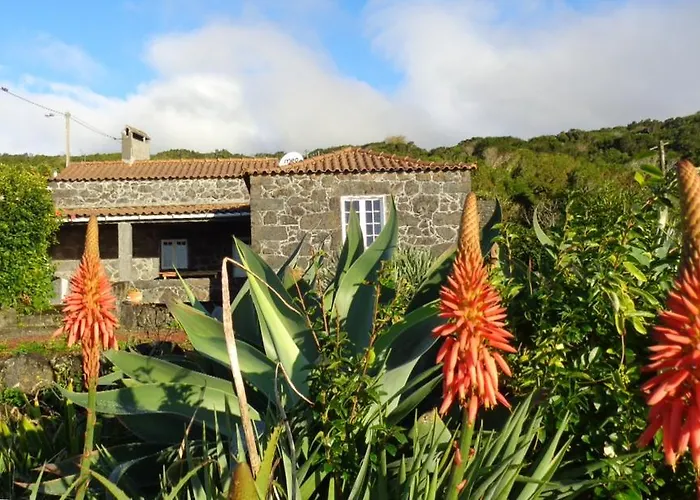 Dom wakacyjny Casa Do Bernardo *